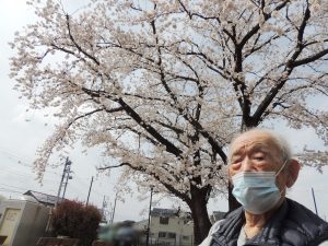 お花見②2