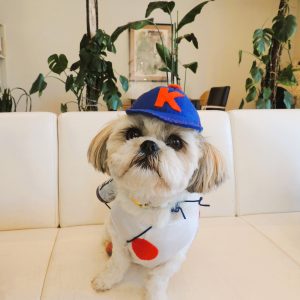 WBC日本優勝おめでとう！