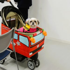 清瀬消防署の表彰式